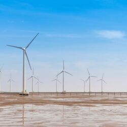 pexels-quang-nguyen-vinh-222549-2735865 pexels-quang-nguyen-vinh-222549-2735865